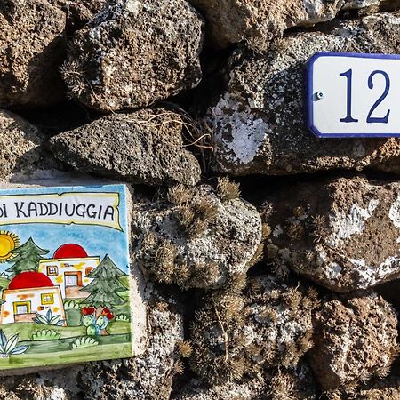Villa Dammuso I Pini Di Kaddiuggia Campobello Esterno foto