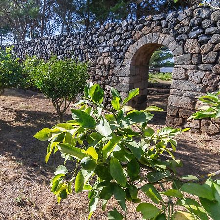 Villa Dammuso I Pini Di Kaddiuggia Campobello Esterno foto