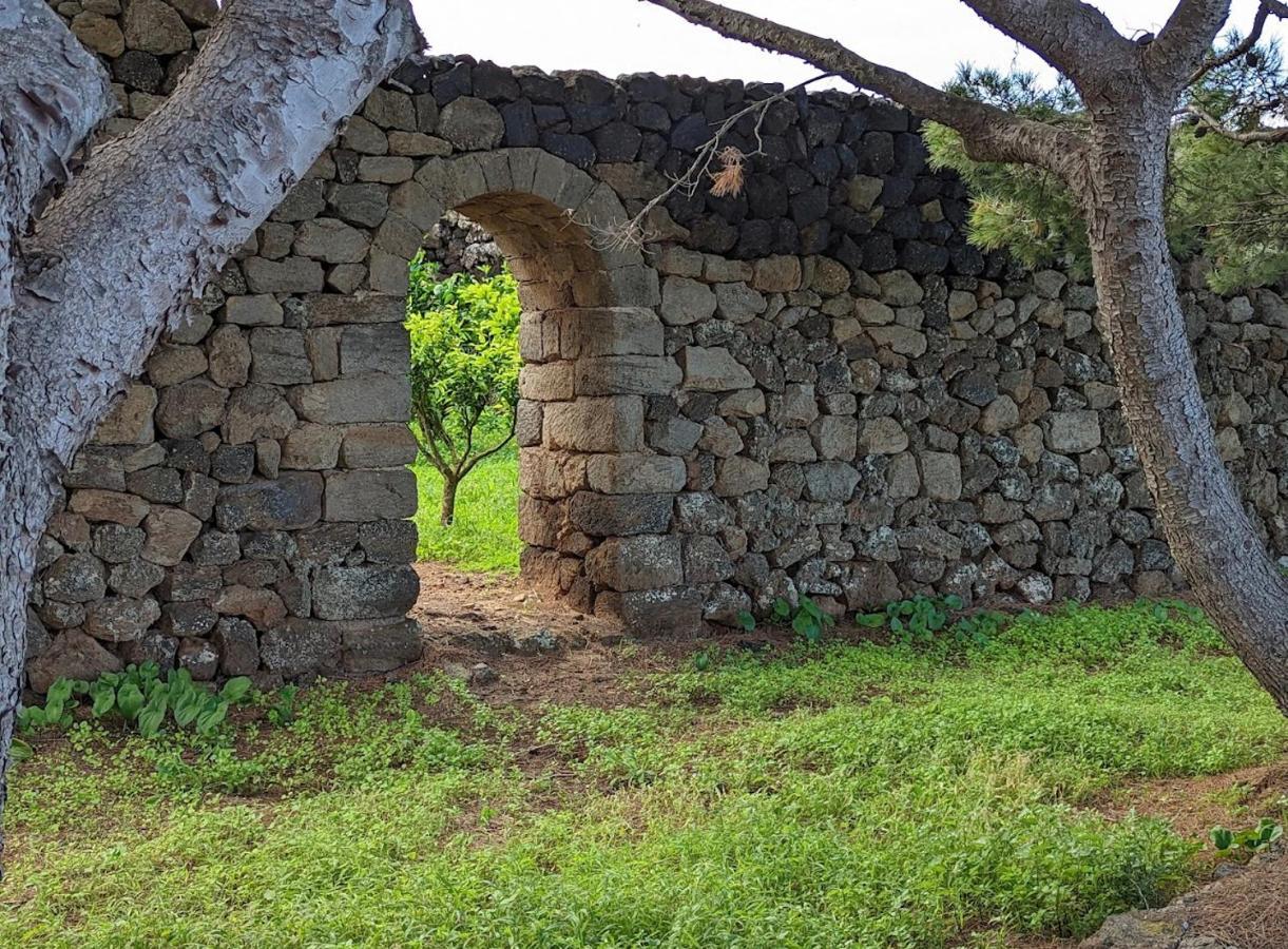 Villa Dammuso I Pini Di Kaddiuggia Campobello Esterno foto