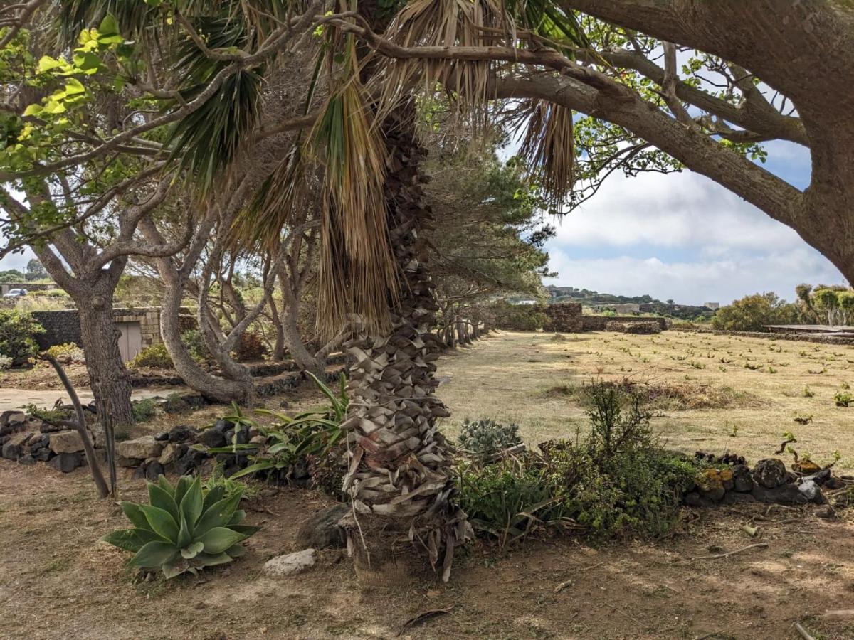 Villa Dammuso I Pini Di Kaddiuggia Campobello Esterno foto