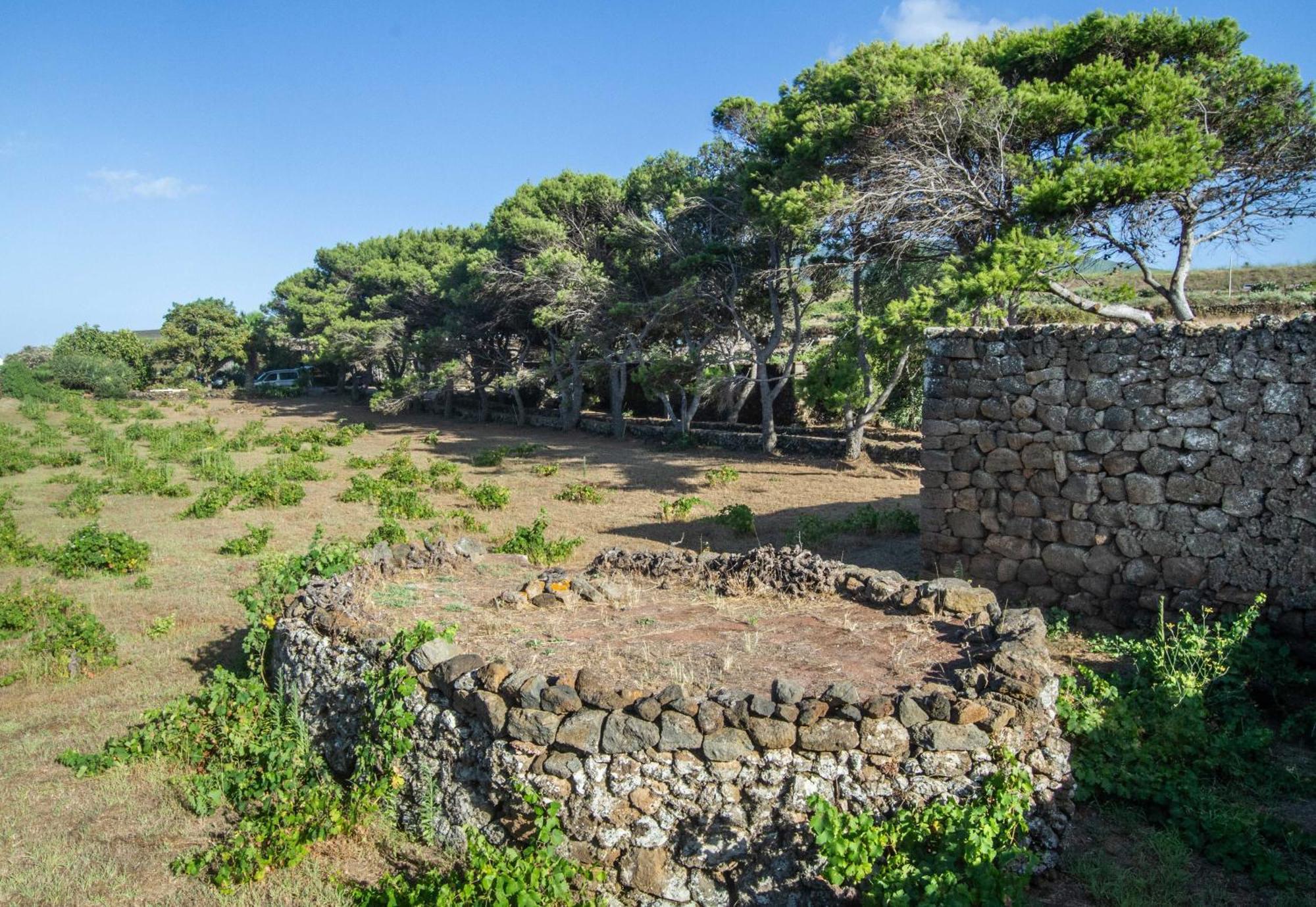 Villa Dammuso I Pini Di Kaddiuggia Campobello Esterno foto