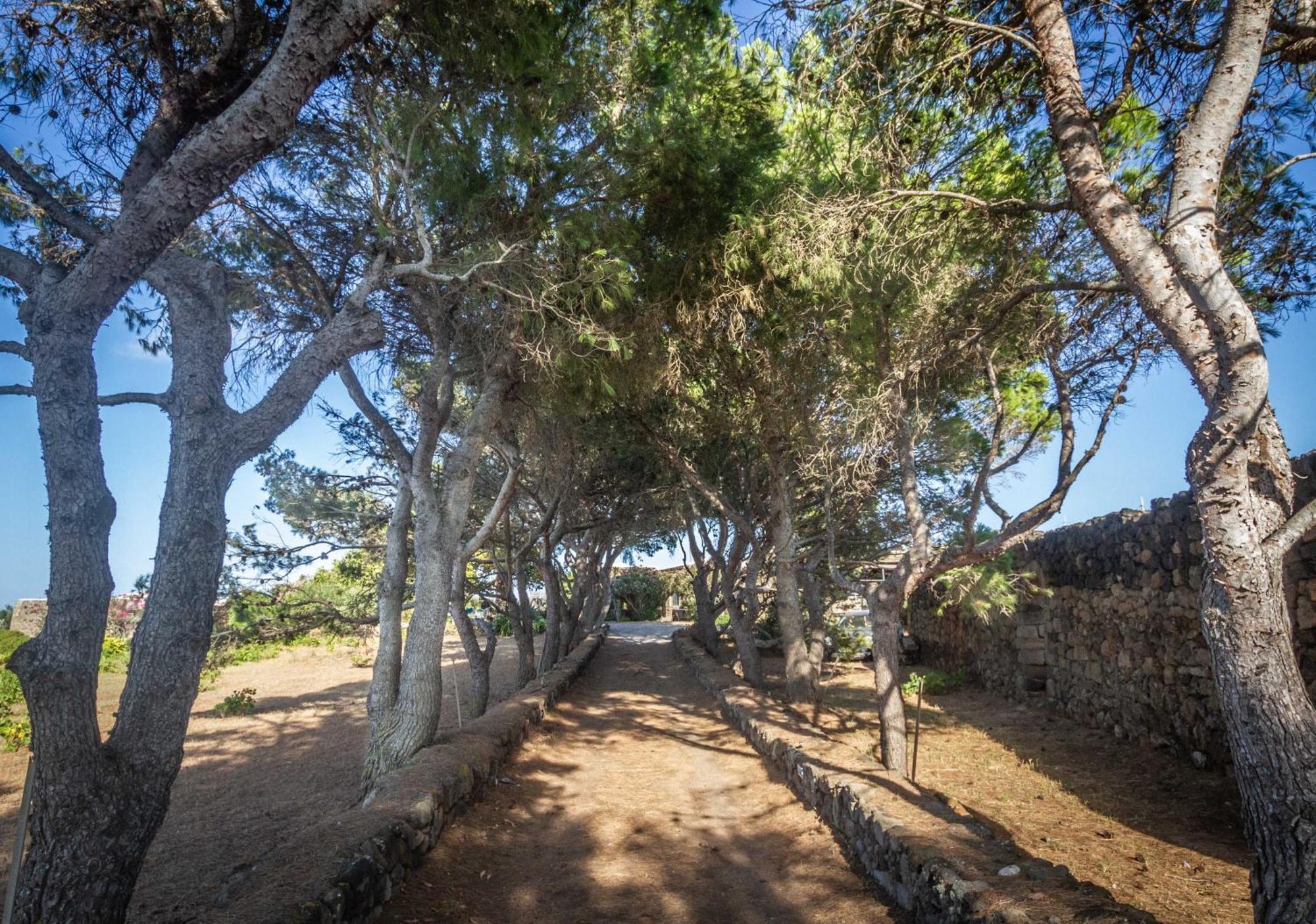 Villa Dammuso I Pini Di Kaddiuggia Campobello Esterno foto