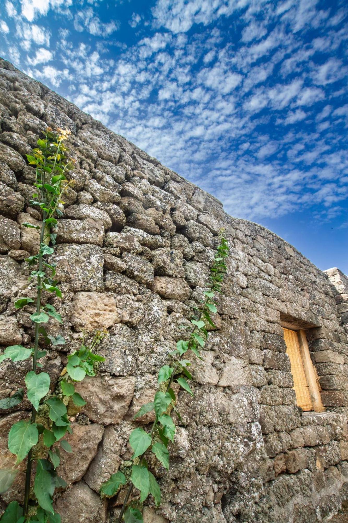 Villa Dammuso I Pini Di Kaddiuggia Campobello Esterno foto